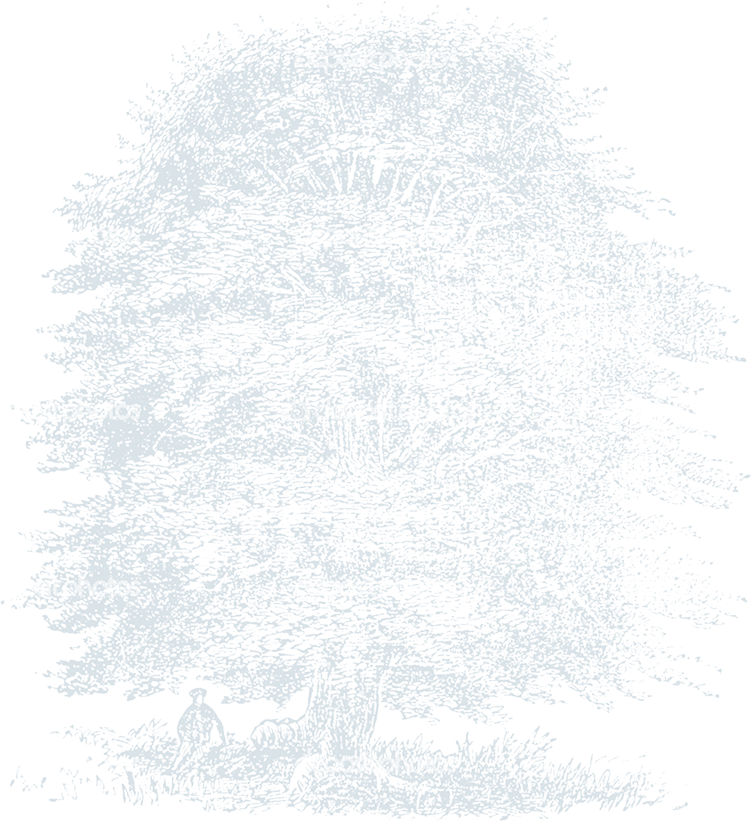 Linograph tree