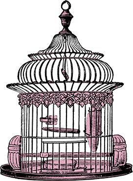 bird cage