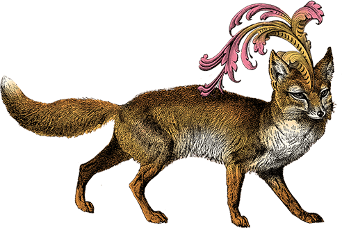 fox